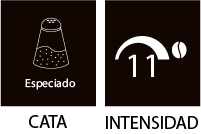 Intensidad 11