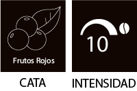 Intensidad 10