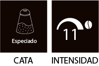 Intensidad 11