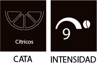 Intensidad 9