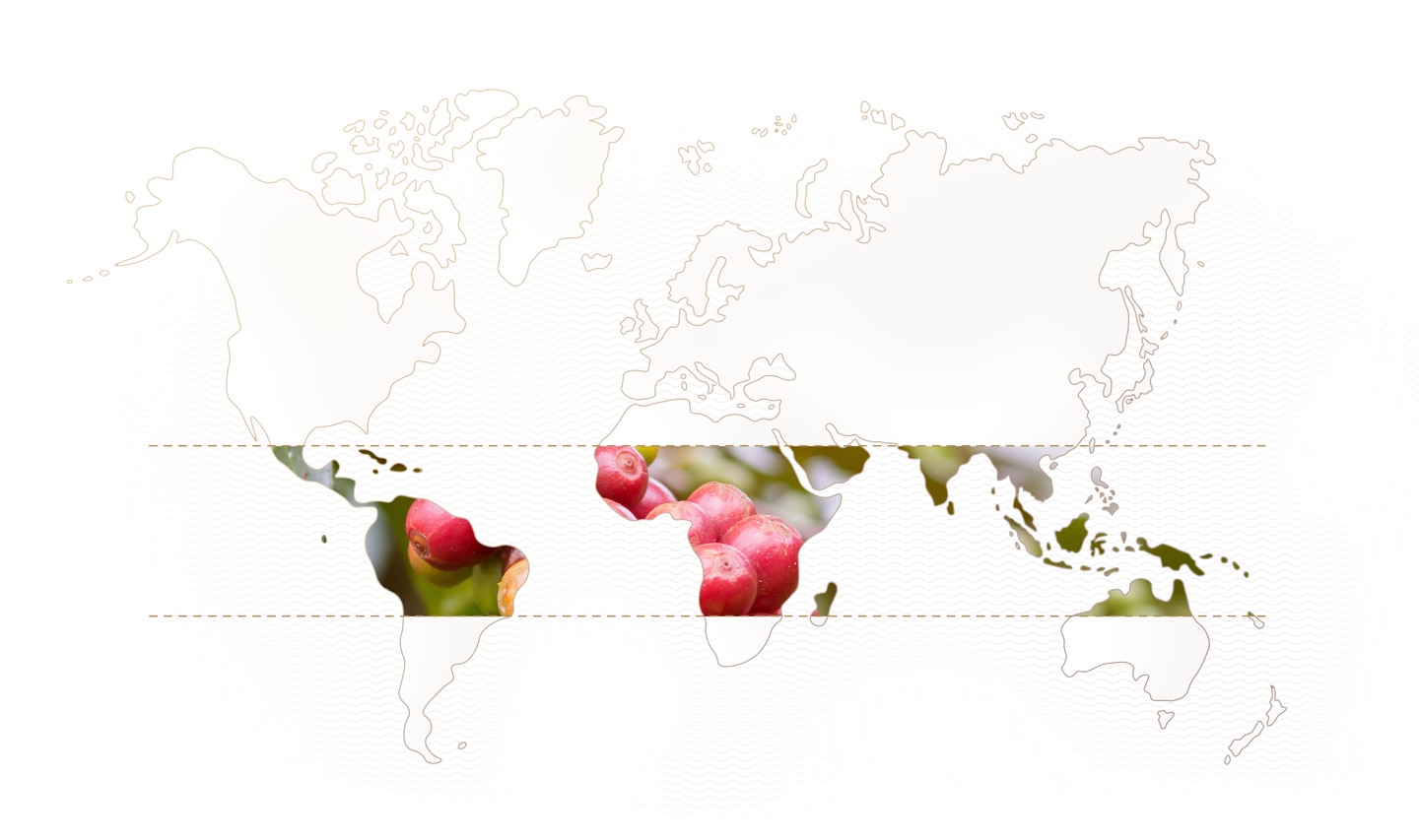 Mundo cafe mapa del mundo